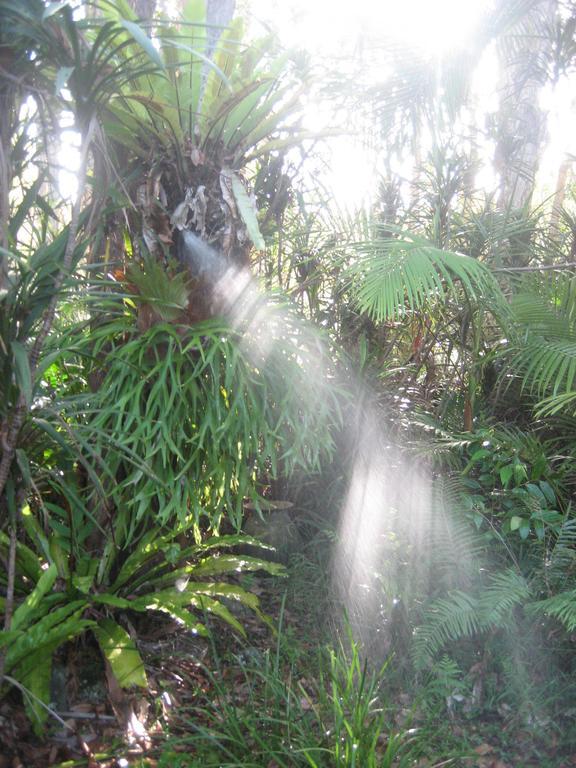 Buddha'S Bungalow Byron Bay Zimmer foto